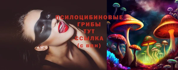 PSILOCYBIN Белоозёрский