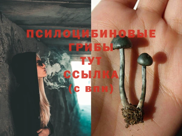 PSILOCYBIN Белоозёрский