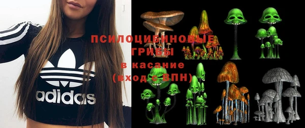 PSILOCYBIN Белоозёрский