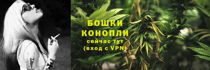 блэк спрут сайт  Омск  Конопля SATIVA & INDICA 